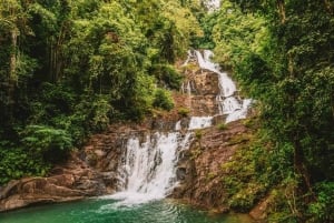 푸켓에서 출발: 카오락 하이라이트 전일 투어