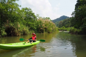 From Phuket & Khao Lak: River Kayak & Elephant Care