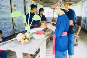 From Phuket & Khao Lak: River Kayak & Elephant Care
