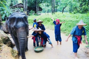 From Phuket & Khao Lak: River Kayak & Elephant Care