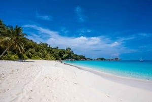 From Phuket/Khao Lak: Similan Day Trip by Speedboat Charter