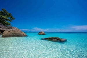 From Phuket/Khao Lak: Similan Day Trip by Speedboat Charter