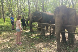 Z Phuket: Całodniowa wycieczka do sanktuarium słoni w Khao Lak