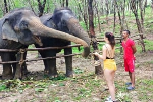 From Phuket: Khaolak Elephant Sanctuary Tour and Lunch