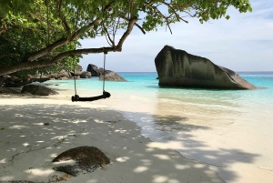 From Phuket/Khaolak: Similan Islands Early Bird Day Trip