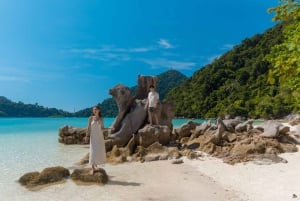 From Phuket or Khaolak: Surin Islands Day Trip