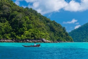 From Phuket or Khaolak: Surin Islands Day Trip