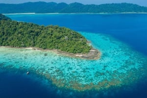 From Phuket or Khaolak: Surin Islands Day Trip