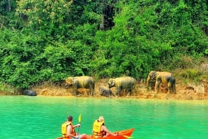Fra Phuket: Overnattingstur til Cheow Lan-sjøen med raft-resort