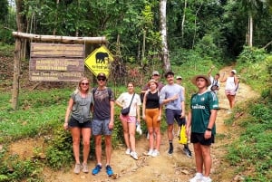 Fra Phuket: Overnattingstur til Cheow Lan-sjøen med raft-resort