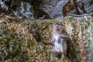 Au départ de Phuket : Baie de Phang Nga 6 - Canoë sur les îles en bateau rapide