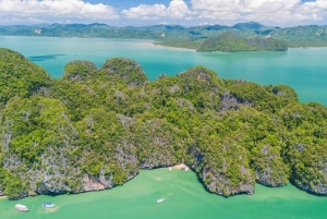 Desde Phuket: Bahía de Phang Nga y isla James Bond en lancha rápida
