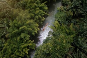 De Phuket: PhangNga, rafting em jangadas de bambu, templo e cascata