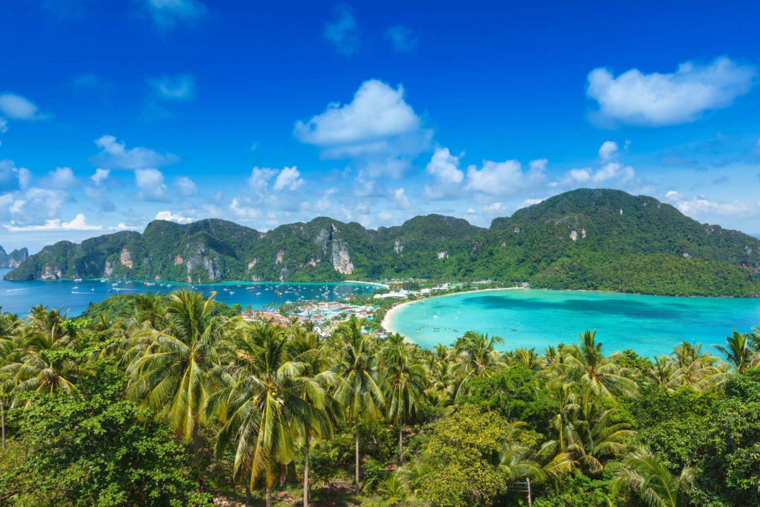 Fra Phuket: Speedbådstur til Phi Phi og Khai-øerne