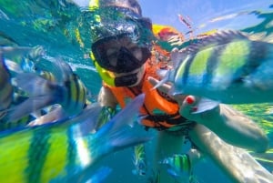 From Phuket: Phi Phi and Maya Bay Snorkeling by Speedboat