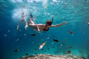 From Phuket: Phi Phi and Maya Bay Snorkeling by Speedboat