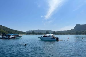 From Phuket: Phi Phi and Maya Bay Snorkeling by Speedboat