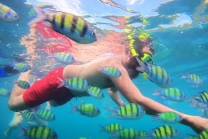From Phuket: Phi Phi and Maya Bay Snorkeling by Speedboat