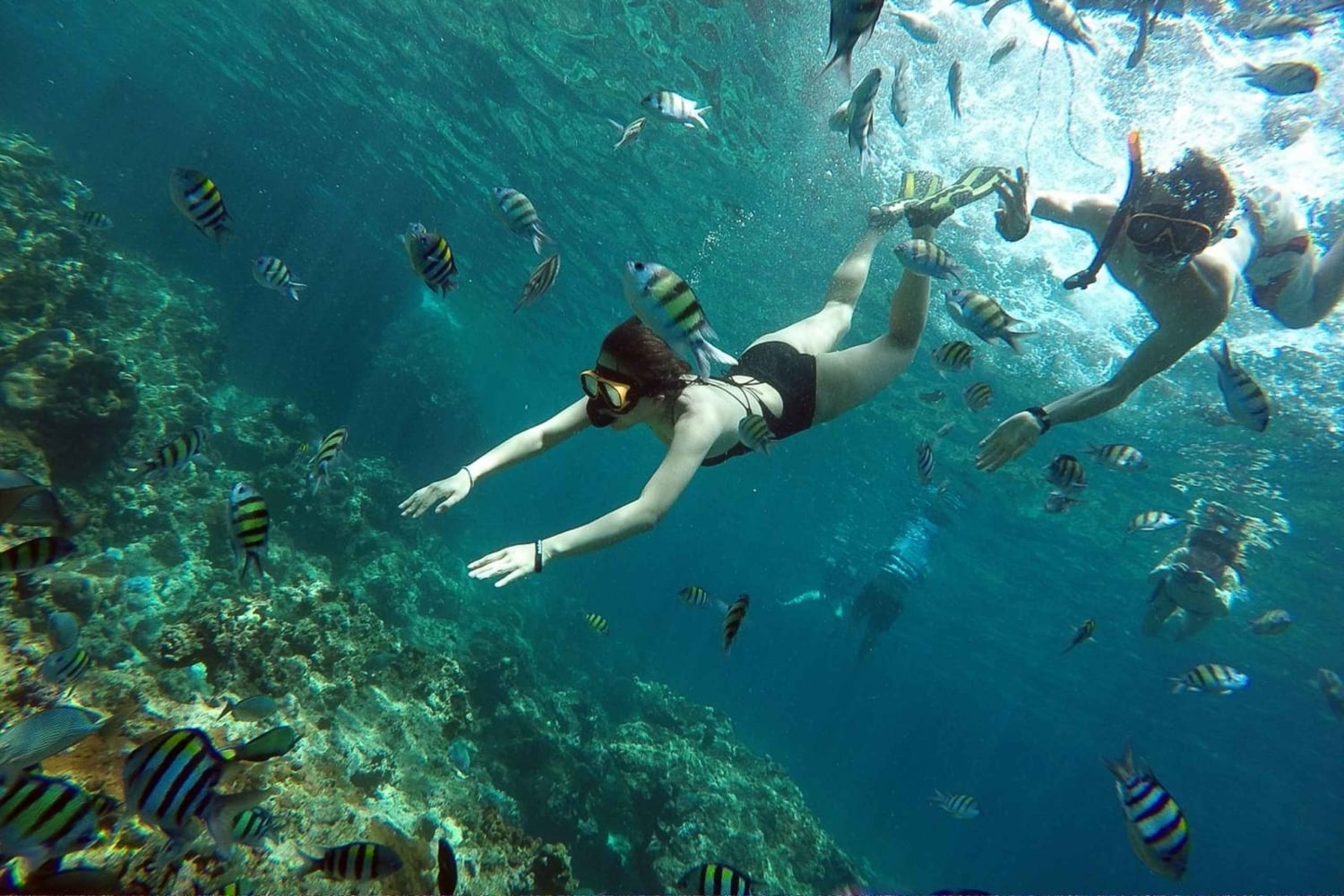 من بوكيت: رحلة خاصة بالقارب السريع لمدة يوم كامل إلى جزيرة في في