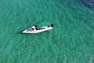 Van Phuket: Phi Phi Island privé speedboottocht van een hele dag