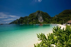 Van Phuket : Phi Phi eilanden per cruise
