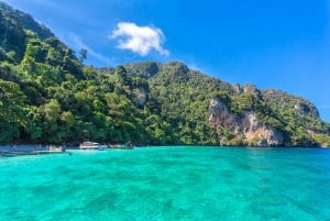 From Phuket: Phi Phi Island by Speed boat Tour