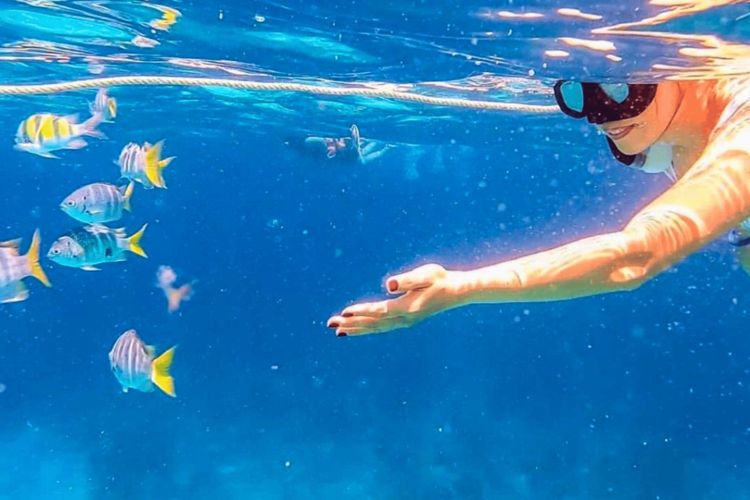 Desde Phuket: Tour privado en lancha rápida por las Islas Racha