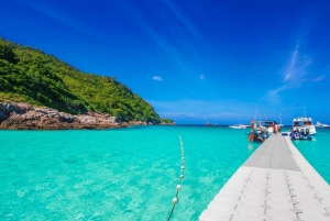 Desde Phuket: Tour privado en lancha rápida por las Islas Racha