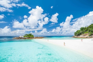 From Phuket: Racha & Maiton Island Dolphin Expedition