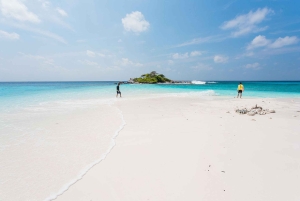 From Phuket: Racha & Maiton Island Dolphin Expedition