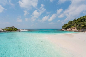 From Phuket: Racha & Maiton Island Dolphin Expedition