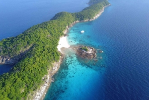 From Phuket: Racha & Maiton Island Dolphin Expedition