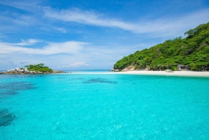 From Phuket: Racha & Maiton Island Dolphin Expedition