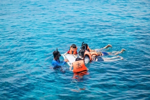 From Phuket: Racha & Maiton Island Dolphin Expedition