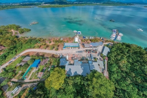 From Phuket: Racha & Maiton Island Dolphin Expedition