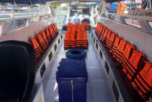 From Phuket: Racha & Maiton Island Dolphin Expedition