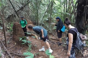 From Phuket: Guided Rainforest and Waterfall Hike with Lunch