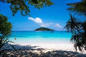 푸켓 출발: 시밀란 제도 당일 여행