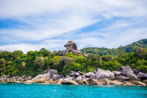 Fra Phuket: Luksustur til Similanøyene med hurtiggående katamaran