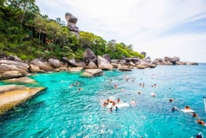 Fra Phuket: Luksustur til Similan-øerne med hurtig katamaran