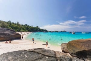 Da Phuket: Viaggio di lusso alle Isole Similan in catamarano veloce