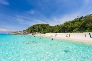 Da Phuket: Viaggio di lusso alle Isole Similan in catamarano veloce