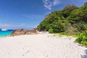 Da Phuket: Viaggio di lusso alle Isole Similan in catamarano veloce