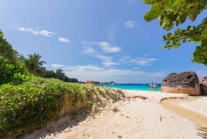 Da Phuket: Viaggio di lusso alle Isole Similan in catamarano veloce