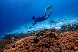 Da Phuket: Viaggio di lusso alle Isole Similan in catamarano veloce