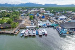 Da Phuket: Viaggio di lusso alle Isole Similan in catamarano veloce