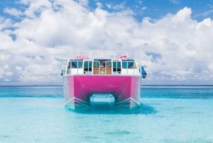 Da Phuket: Viaggio di lusso alle Isole Similan in catamarano veloce