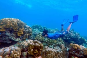 Von Phuket aus: Schnorchel Tour mit dem Schnellboot nach Koh Haa & Koh Rok