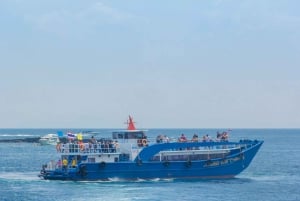 Fra Phuket: Snorkel færgekrydstogt til Phi Phi-øerne