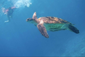 Из Пхукета: тур по подводному плаванию на Симиланских островах